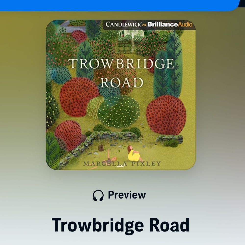 Trowbridge Road 5 Audio discs